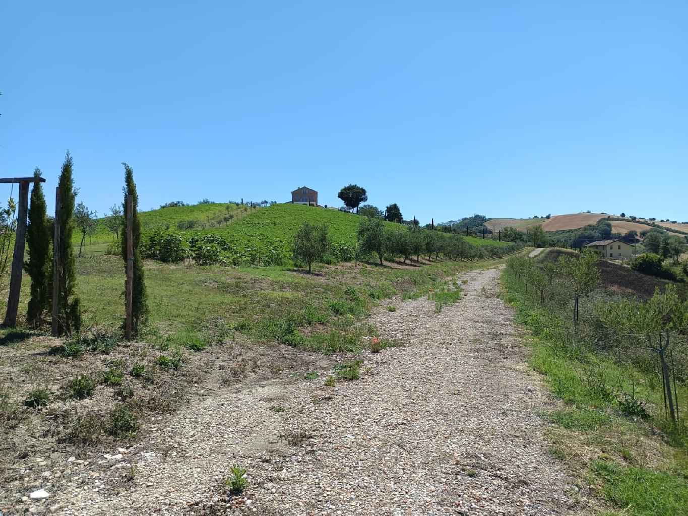 36 - CASOLARE - VENDITA - PETRITOLI - € 230000